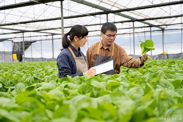 生物技术改变了食品行业，合成肉和植物肉的发展前景如何？