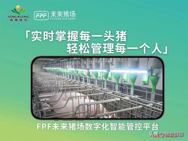 山东牧歌李永：猪场使用液态设备每头猪可节省80-150元