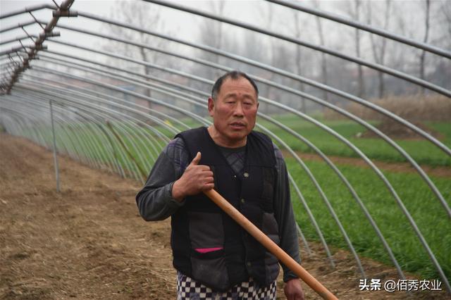 农民搞种植不赚钱？记住4点要素，农业路上就能少风险