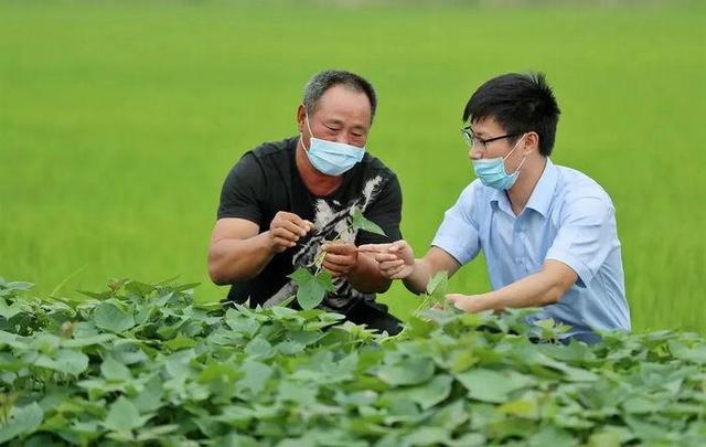 金融赋能 建设银行裕农贷款助力共同富裕