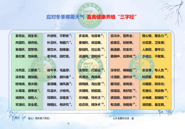 融合畜牧养殖新技术、新理念！山东编制畜禽健康养殖“三字经”