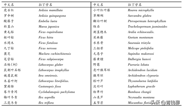 白果蒲桃生物学与生态学特性及播种育苗技术