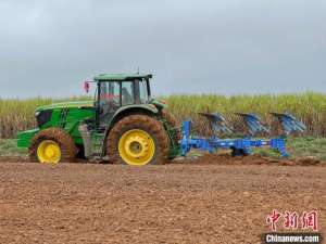 甘蔗种植机多少钱一台(广西大型农场引入无人驾驶农机种植甘蔗降本增效)