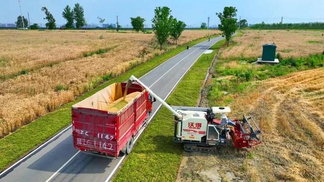 探访成都环城生态区：既做农也做旅 市民在田野中感悟“天府粮仓”新场景