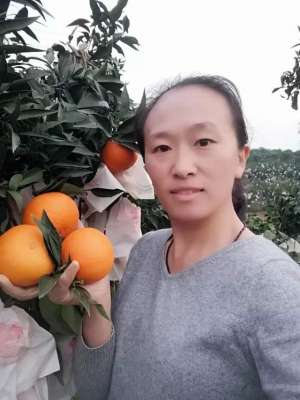 种植柑橘成本(女白领辞职回乡种柑橘，仅用10亩地实现年入30万，其中有何秘诀？)