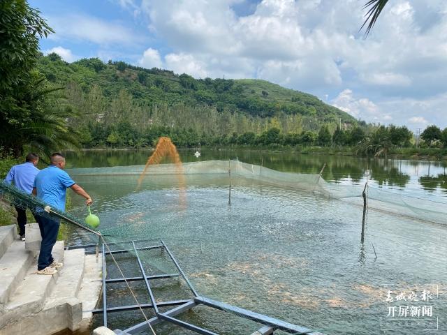 每年可孵化抗浪鱼苗1.2亿尾 昆明这个养殖基地保护着100余种珍稀土著鱼