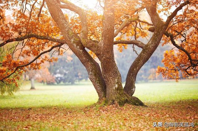 三年级语文下册仿写句子大全，孩子写作必备素材