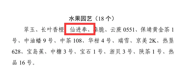 全国唯一荔枝品种！增城仙进奉入选“2023年农业主导品种”