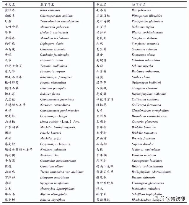 白果蒲桃生物学与生态学特性及播种育苗技术