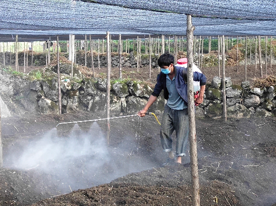 广发银行昆明分行大力支持重楼种植 让中药材产业成为“脱贫良方”