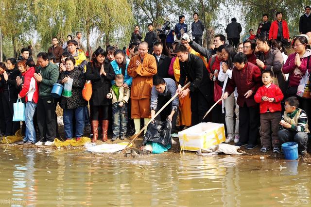 佛罗里达鳖进入中国16省，黄河或已“失守”，会在野外泛滥吗？