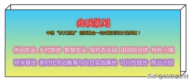 珍稀食用菌全产业链(种植加工生产线)项目可行性报告案例