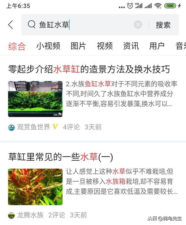 养水先养草，鱼缸里养水草好处多多，小鱼儿告诉您应该如何养水草