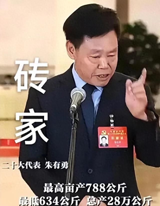 不害怕，就去种稻！