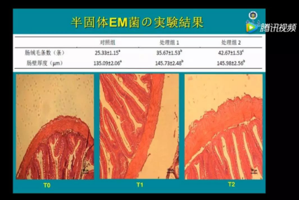 小龙虾养殖：调水不再是问题！你一直苦苦寻找的调水利器在这里