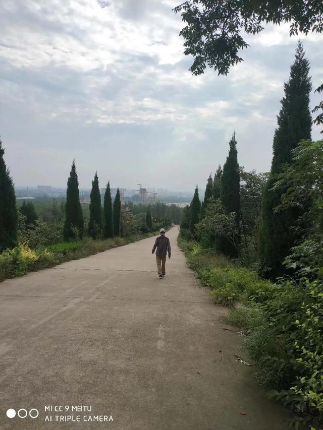 炒菜无花椒不欢，生日这天平邑西山摘花椒差点要我命，吓死宝宝了