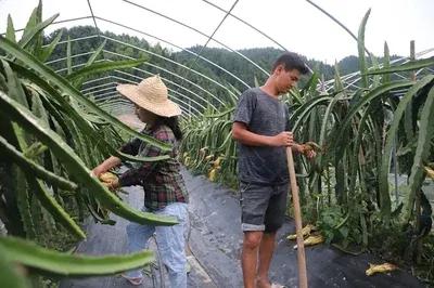 现在农村干啥能赚钱快，三个不起眼却很暴利的小生意