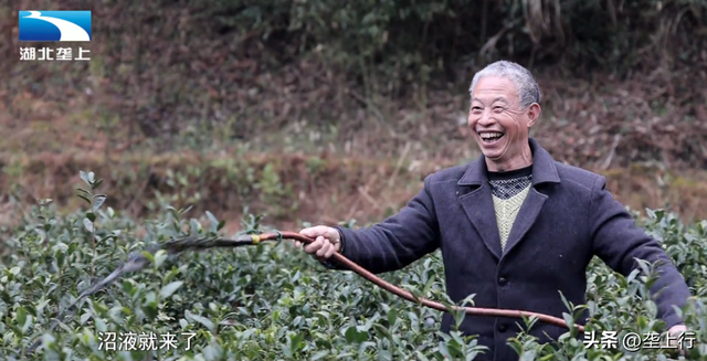 变废为宝！沼肥进茶园 种养结合效益高