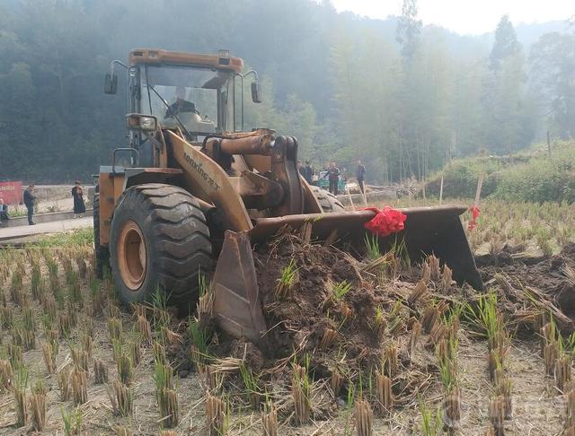 浙江丽水景宁县澄照乡鳗鱼养殖项目正式开工建设