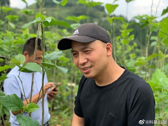 大山深处 一个“桑蚕小镇”是如何破茧而出的？