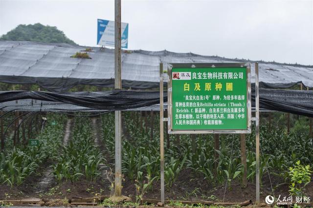 车间建在家门口 挣钱不用往外走