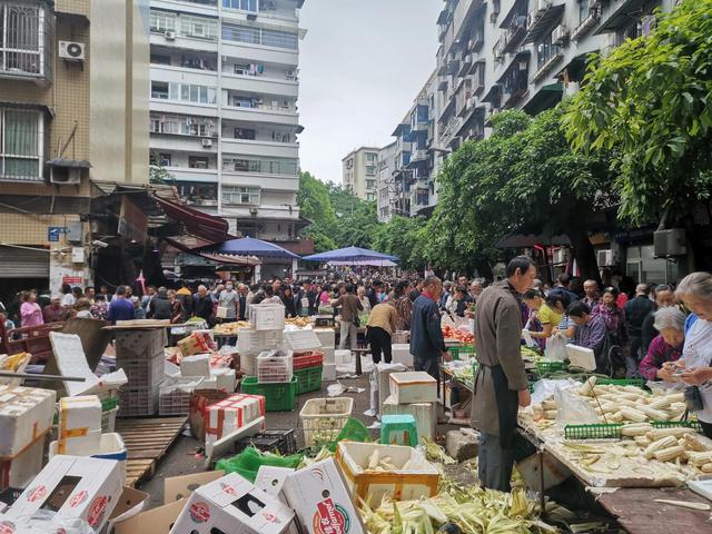 重庆狗儿市场不光卖狗，吃喝用度啥都有，要想闹热里面走