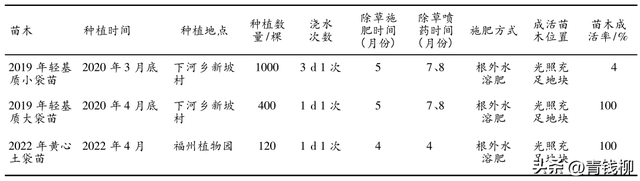 白果蒲桃生物学与生态学特性及播种育苗技术