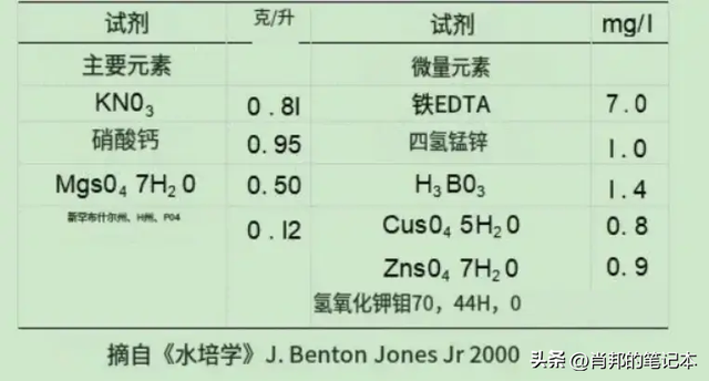 无机及有机栽培对黄瓜生育的影响