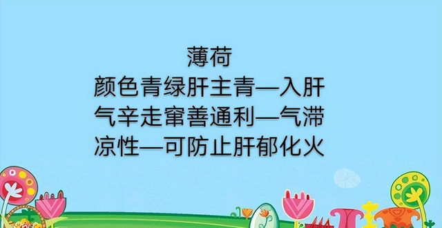 学习一味中药——薄荷，气味辛凉，功专入肝与肺