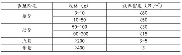 中华鳖池塘养殖关键技术