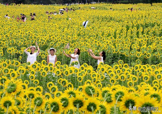 9月广东旅游好去处，广东秋天最美的10个景点，周边自驾游一日游