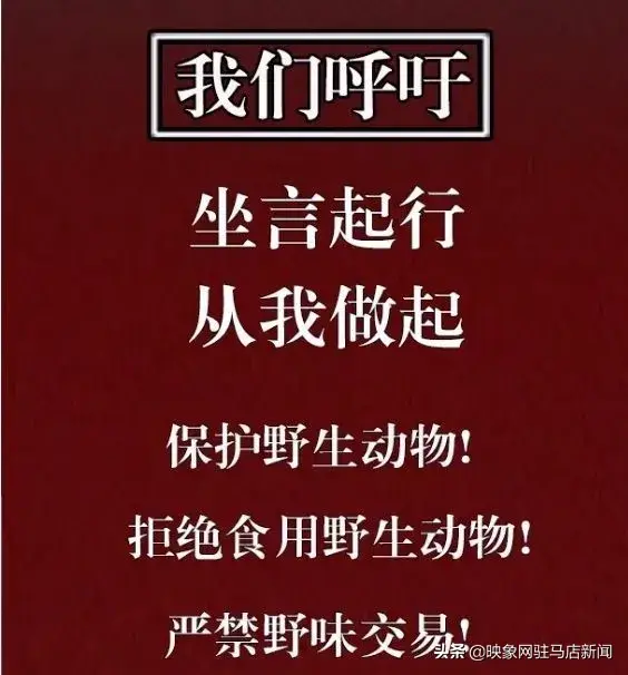 禁野令下，爬叉、鹌鹑、野兔..都不能再吃了！快提醒家人