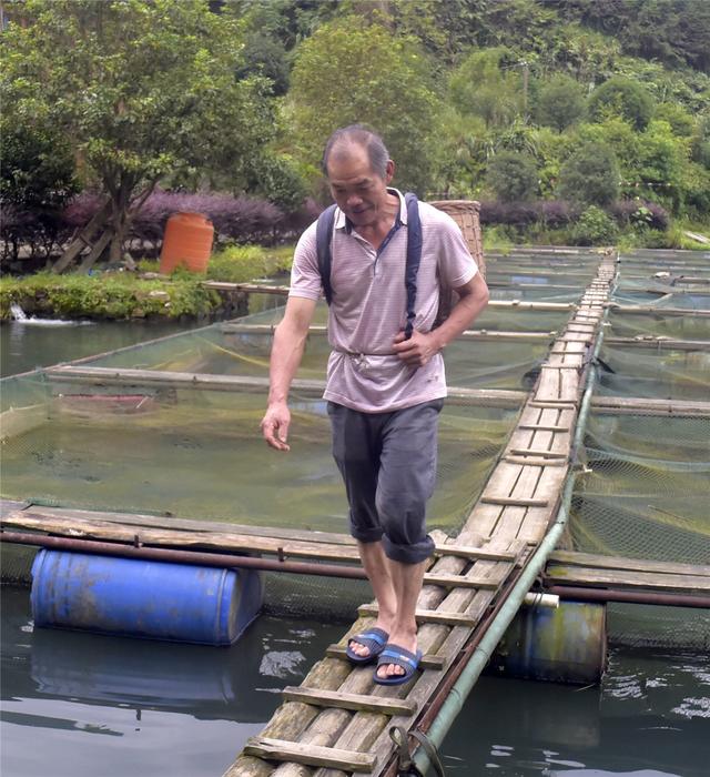 桂林：山清水秀鱼鲜的龙胜聆溪水产养殖场