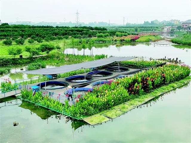 水产养殖新模式(1) 池塘浮式圆槽流水养殖系统