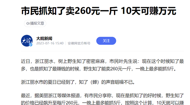 一斤卖到260元！丽水男子抓知了10天赚万元，知了会不会被吃绝？