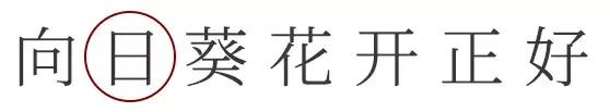 超期待丨郁金香高地几十万株百合花即将惊艳绽放