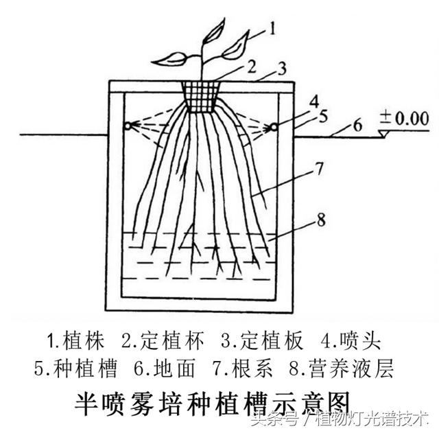 水培技术——③雾陪技术