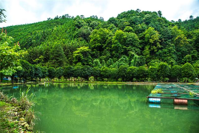 桂林：山清水秀鱼鲜的龙胜聆溪水产养殖场