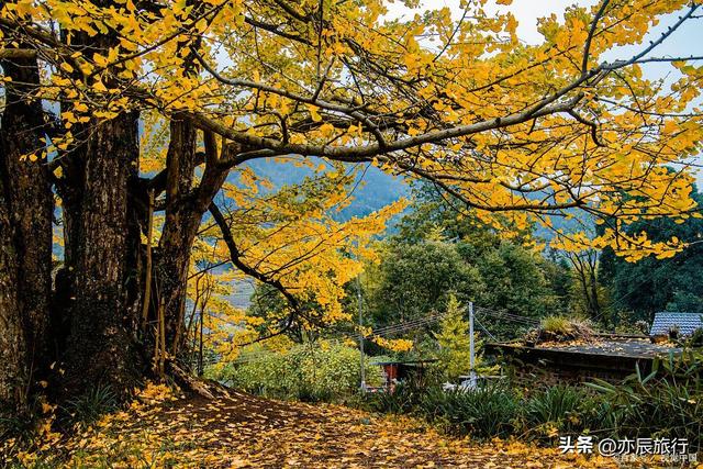 9月广东旅游好去处，广东秋天最美的10个景点，周边自驾游一日游