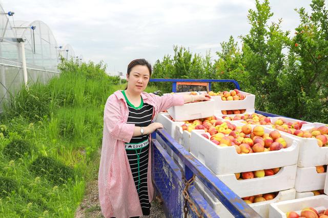 烧饼制作师、养鸡大户都能评高级职称，江苏诞生新一批乡村“教授”