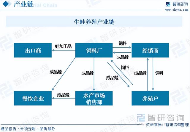 【前景趋势】一文读懂2023年牛蛙养殖行业未来发展前景