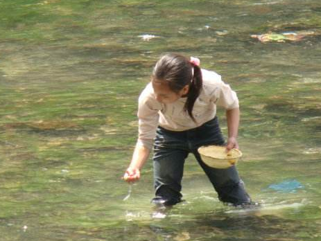 农村河里9种野生鱼，现在想捉也捉不到了，吃过的人都老了！