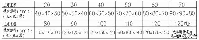 苗木取苗土球该多大合适呢？园林绿化施工挖树穴也有大讲究