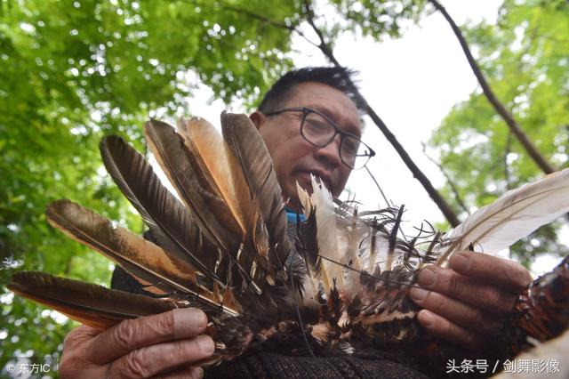 贵阳：斗鸡“美容师”这个职业，你听说过吗？