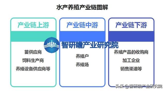 中国水产养殖业报告：已成为全球最大的水产品生产和出口国之一