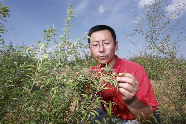 张应龙 治尽荒沙始到金