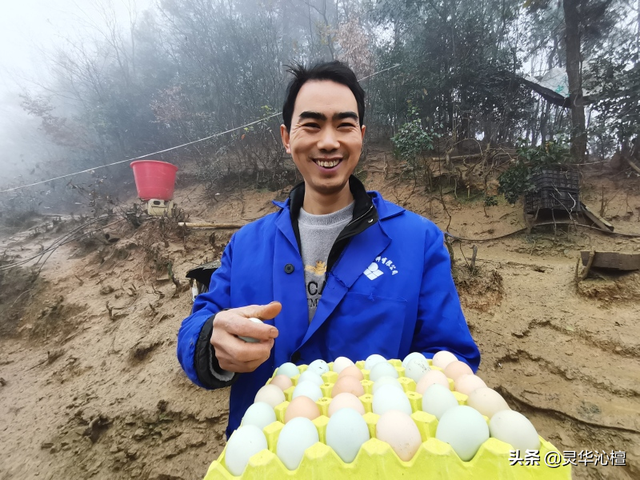 黑鸡产下五色蛋 肉蛋清香受青睐