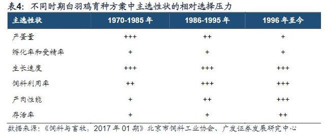 白羽鸡行业报告：全球育种双寡头格局，关注国产种鸡替代进程