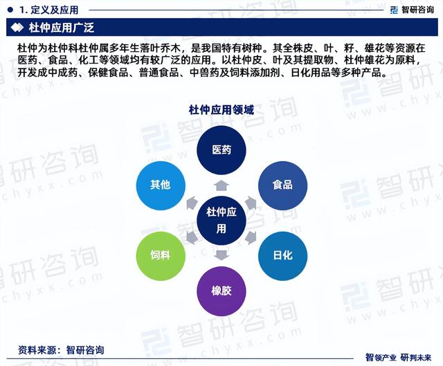 中国杜仲行业市场研究分析报告—智研咨询重磅发布（2023版）