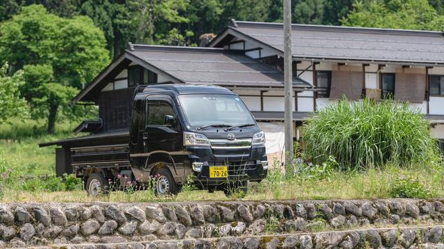 室内养殖黄鳝，是赚钱捷径还是深水坑？我小量养过：有可操作性